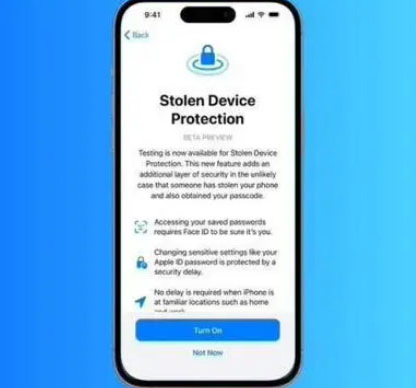 龙游苹果授权维修店分享被盗设备保护功能开启方法 