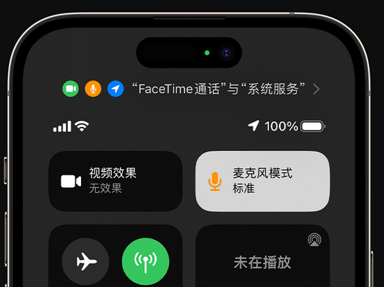 龙游苹果授权维修网点分享iPhone在通话时让你的声音更清晰 