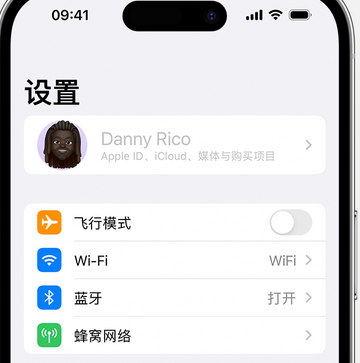 龙游appleID维修服务iPhone设置中Apple ID显示为灰色无法使用 