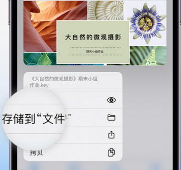 龙游apple维修中心分享iPhone文件应用中存储和找到下载文件