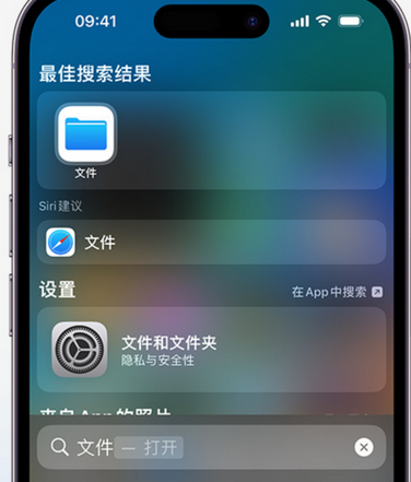 龙游apple维修中心分享iPhone文件应用中存储和找到下载文件 