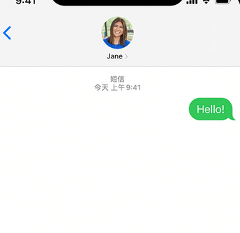 龙游apple维修iPhone上无法正常发送iMessage信息