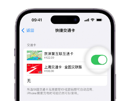 龙游apple维修点分享iPhone上更换Apple Pay快捷交通卡手绘卡面 