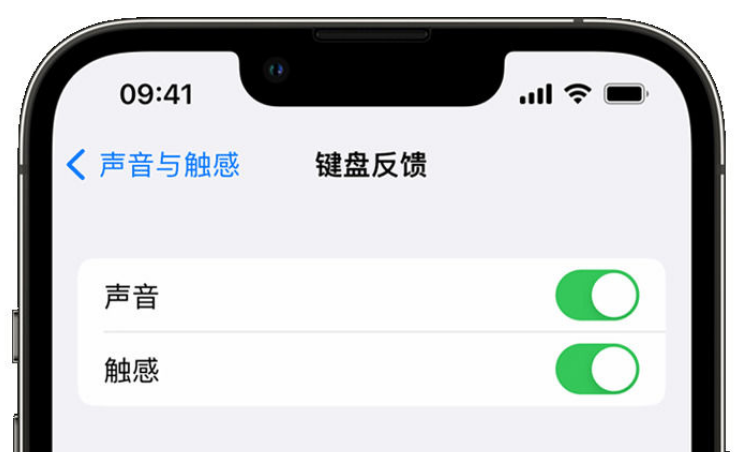 龙游苹果手机维修分享iPhone 14触感键盘使用方法 