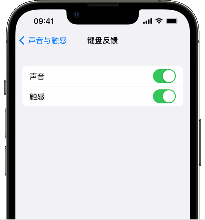 龙游苹果14维修店分享如何在 iPhone 14 机型中使用触感键盘 