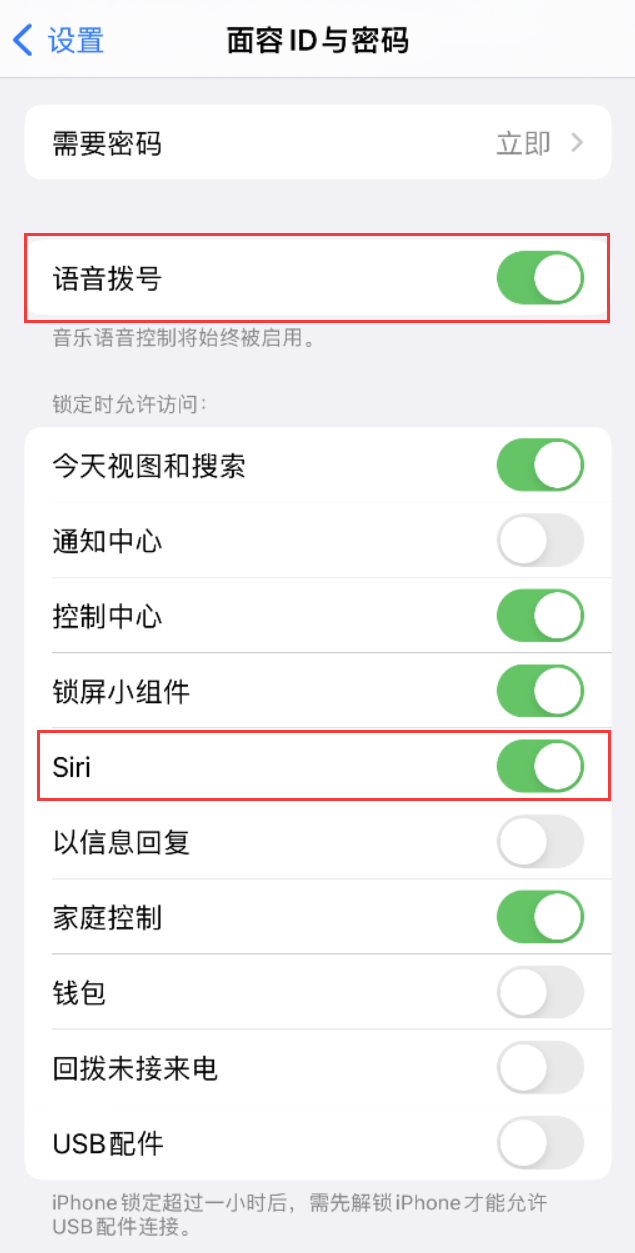 龙游苹果维修网点分享不解锁 iPhone 的情况下通过 Siri 拨打电话的方法 