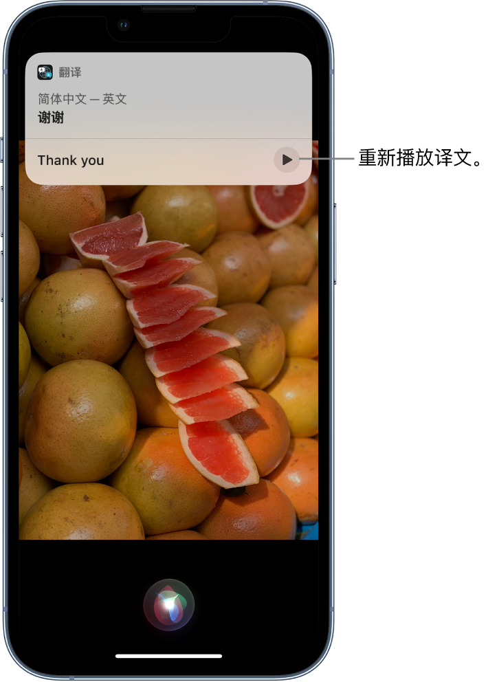 龙游苹果14维修分享 iPhone 14 机型中使用 Siri：了解 Siri 能帮你做什么 