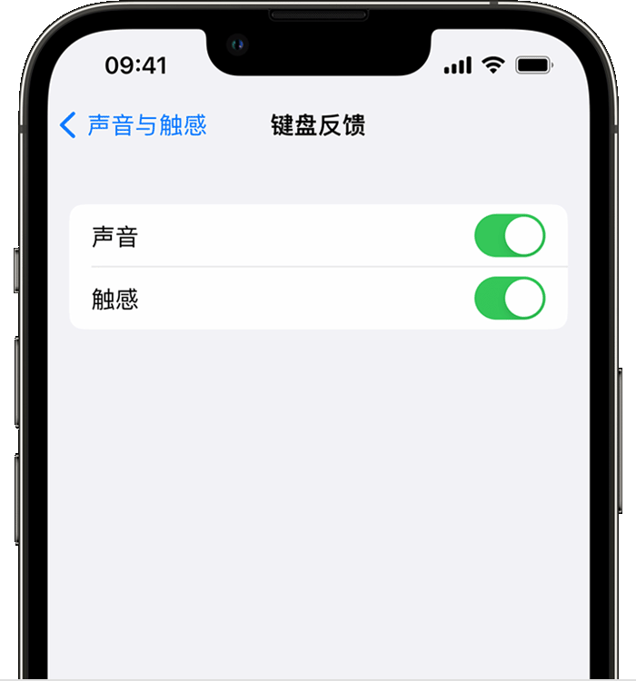 龙游苹果14维修分享iPhone 14 系列机型如何开启键盘声音或触感反馈 