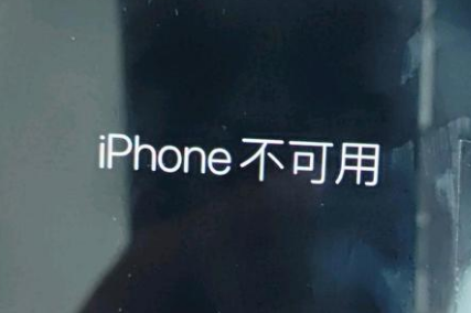 龙游苹果服务网点分享锁屏界面显示“iPhone 不可用”如何解决 