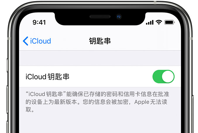 龙游苹果手机维修分享在 iPhone 上开启 iCloud 钥匙串之后会储存哪些信息 