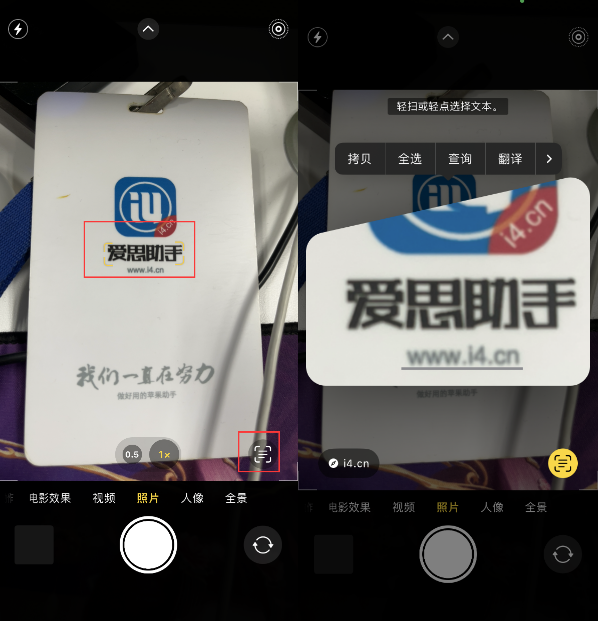 龙游苹果手机维修分享升级iOS 16后如何通过相机翻译文本 