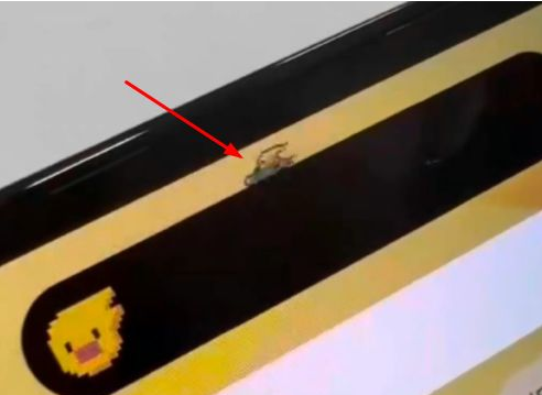 龙游苹果14维修分享iPhone 14 Pro Max灵动岛怎么养宠物 