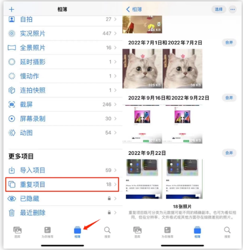 龙游苹果手机维修分享iOS 16 中相册重复项目功能使用方法 