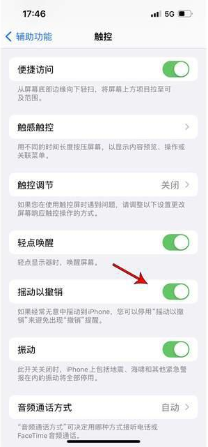 龙游苹果手机维修分享iPhone手机如何设置摇一摇删除文字 