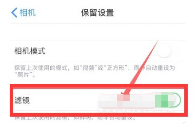 龙游苹果13维修分享iPhone13拍照有绿点是怎么回事 