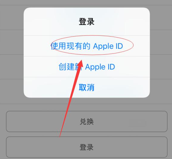 龙游苹果手机维修分享两台iPhone设备可以同时登录一个Apple ID吗 