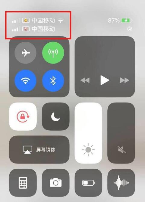龙游苹果手机维修分享为 iPhone 12 双卡设置标签 