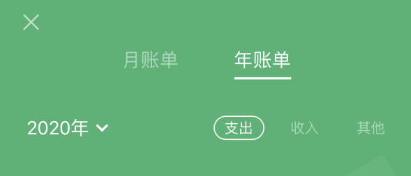 龙游苹果手机维修分享如何在 iPhone 上查看支付宝和微信年支出账单 